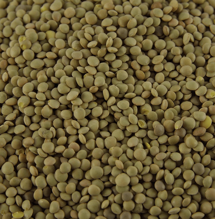 Bartolini : Lentilles brunes - Lenticchie Umbre, lentilles de montagne, Ombrie, 500 g