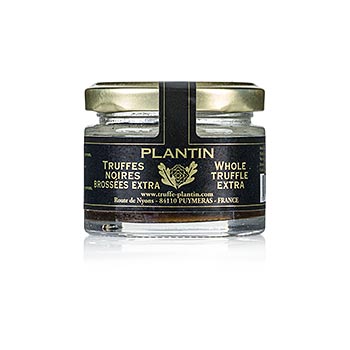 Winter truffle extra, whole truffle, round, Plantin, 15g