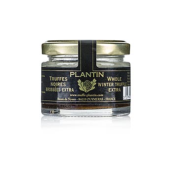 Winter truffle extra, whole truffle, round, Plantin, 30g