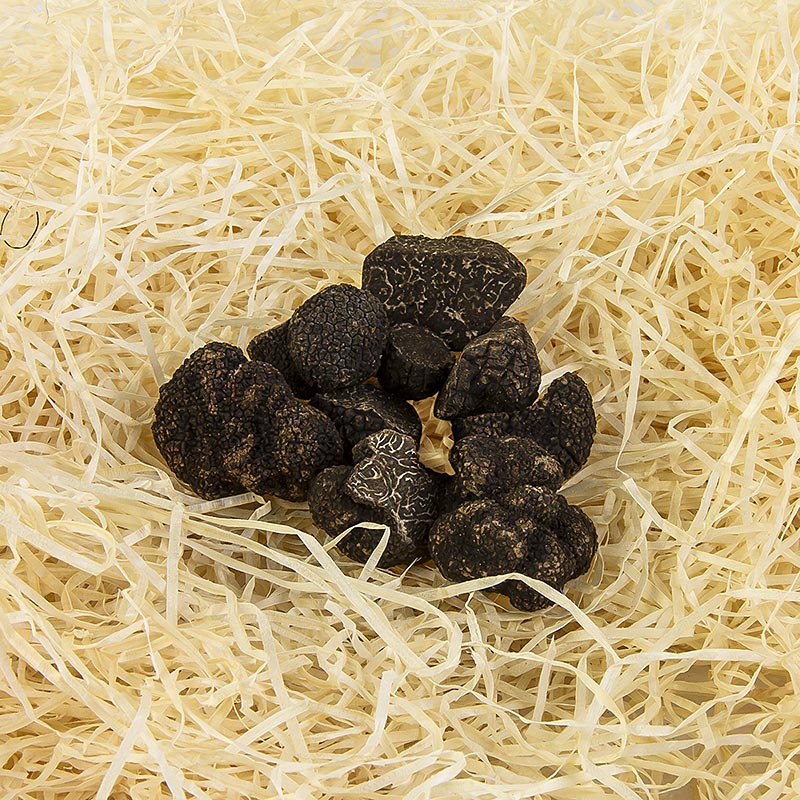 Winter-Edeltrüffel - tuber melanosporum, Abschnitte, Australien, Juni/Aug., je 1 Gramm