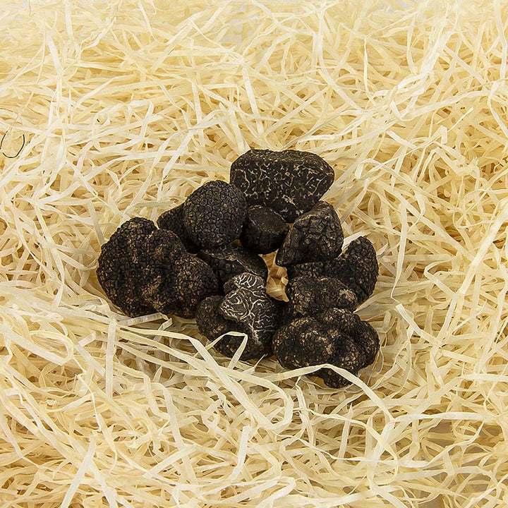 Winter-Edeltrüffel - tuber melanosporum, Abschnitte, Australien, Juni/Aug., je 1 Gramm