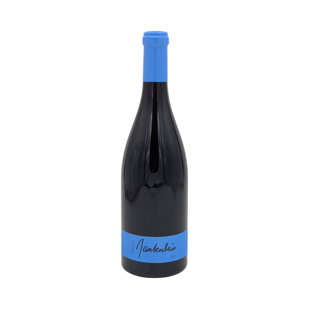 Gantenbein: Pinot Noir 2023