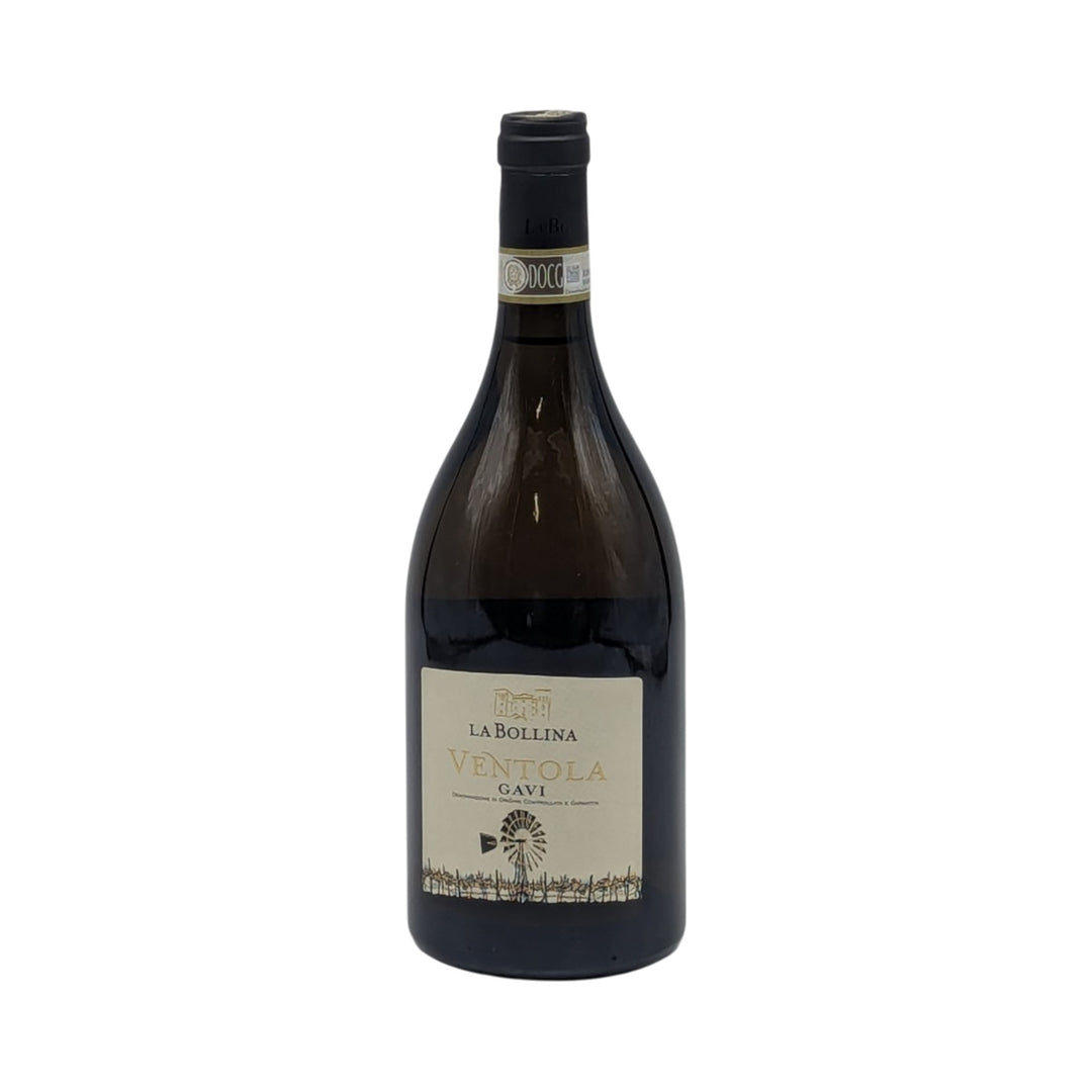 La Bollina: Gavi DOCG Ventola 2023 - Piemont Express