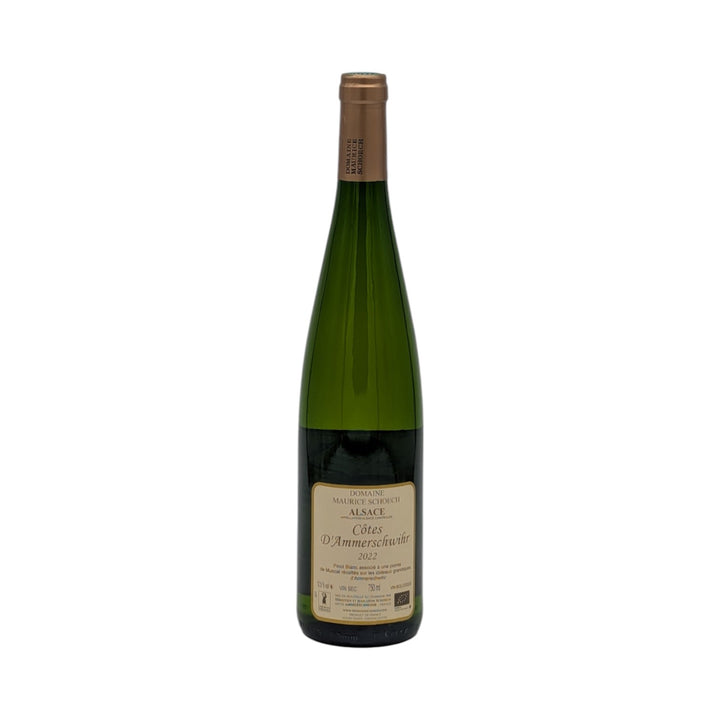 Maurice Schoech: Côtes d'Ammerschwihr 2022