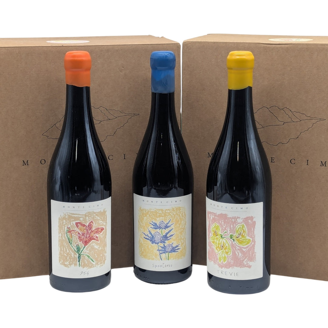 Monte Cimo: Tre Vie Sauvignon PIWI 2022 - Piemont Express