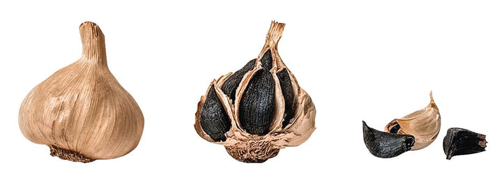 Nerofermento: Schwarzer Knoblauch - Nero di Voghiera, 30 g