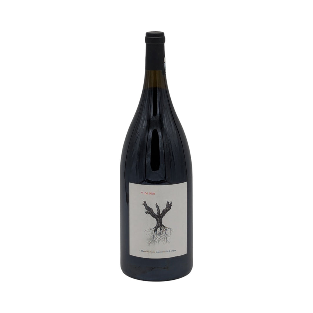 Bodegas y Vinedos Alnardo – Peter Sisseck: PSI 2021 Magnum