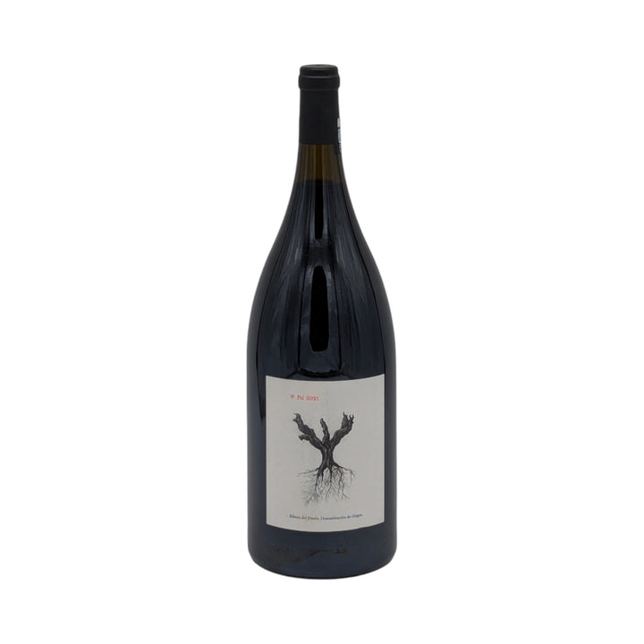 Bodegas y Vinedos Alnardo – Peter Sisseck: PSI 2021 Magnum