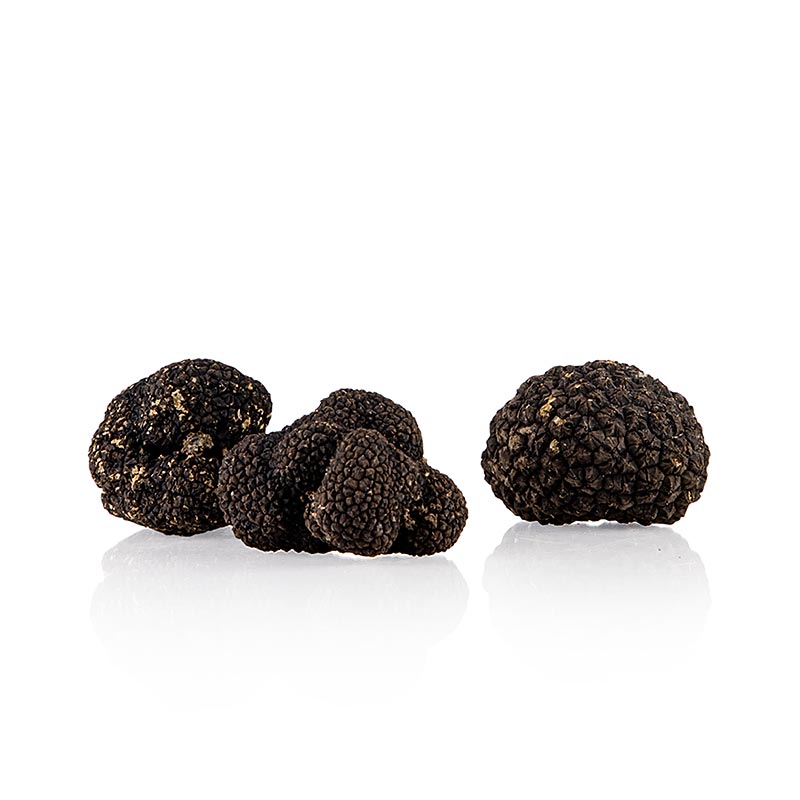 Sommertrüffel / Burgunder-Trüffel - tuber aestivum/uncinatum, Mai/November, per Gramm