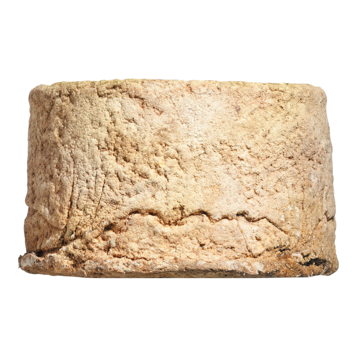 Tino Paiolo: Castelmagno DOP - Hartkäse aus Kuhrohmilch, 3 Monate gereift, 200g