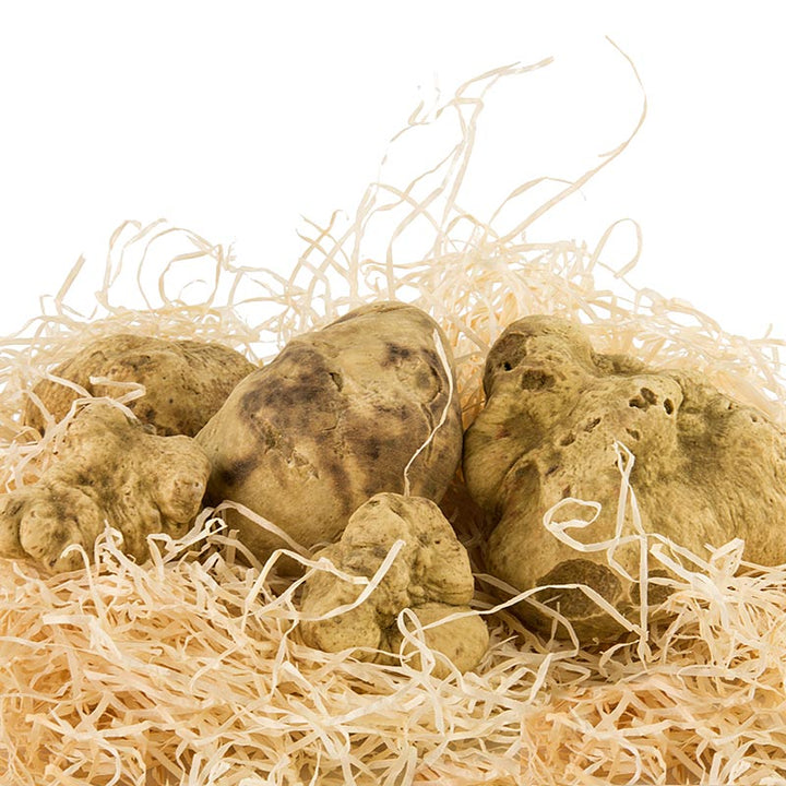 White truffle - tuber magnatum pico, La balance - Tartufi di qualita, 1 gram each