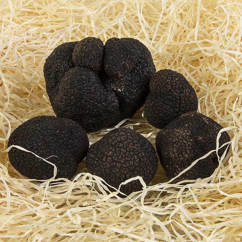 Winter-Edeltrüffel "EXTRA" - tuber melanosporum, grosse Knollen, Australien, Juni/Aug., je 1 Gramm