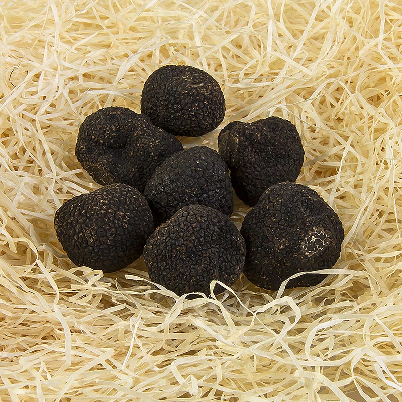 Winter-Edeltrüffel "EXTRA" - tuber melanosporum, kleine Knollen, Australien, Juni/Aug., je 1 Gramm - Piemont Express