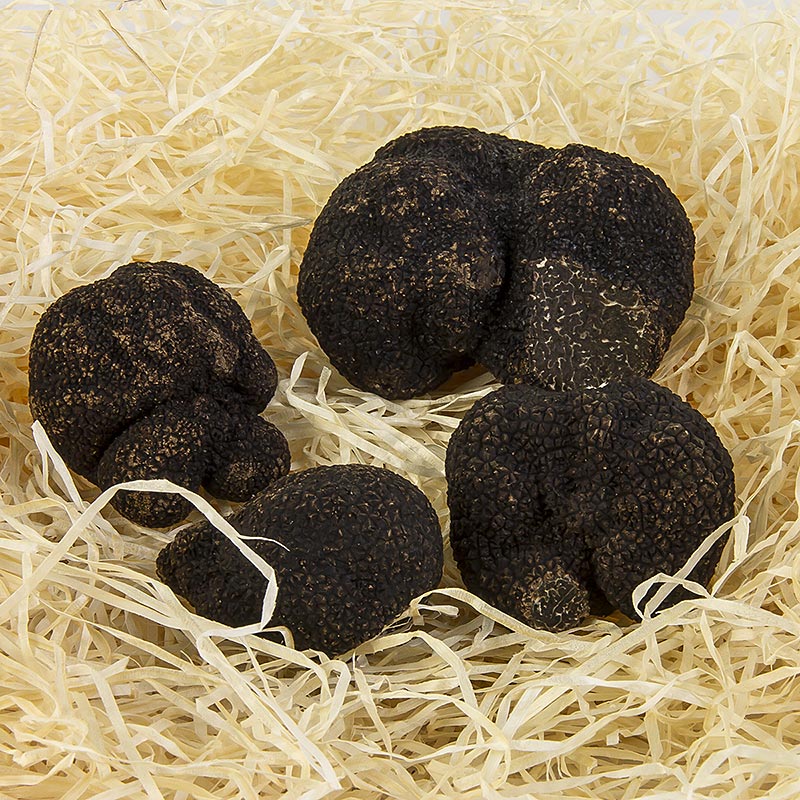 Winter-Edeltrüffel - 1. Wahl - tuber melanosporum, grosse Knollen, Australien, Juni/Aug., je 1 Gramm - Piemont Express